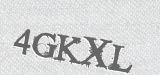 CAPTCHA code
