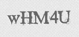 CAPTCHA code