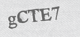CAPTCHA code