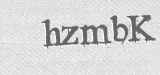 CAPTCHA code
