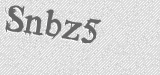 CAPTCHA code