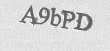 CAPTCHA code