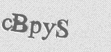 CAPTCHA code