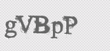 CAPTCHA code