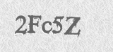 CAPTCHA code