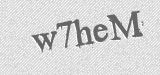 CAPTCHA code