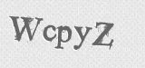 CAPTCHA code