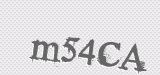 CAPTCHA code
