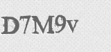 CAPTCHA code