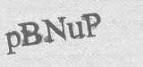 CAPTCHA code