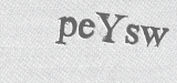 CAPTCHA code