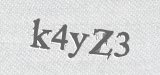 CAPTCHA code