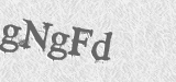 CAPTCHA code