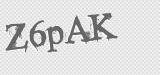 CAPTCHA code