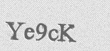 CAPTCHA code