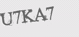 CAPTCHA code