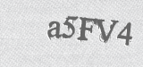CAPTCHA code