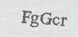 CAPTCHA code