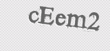 CAPTCHA code