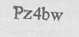 CAPTCHA code