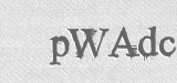 CAPTCHA code