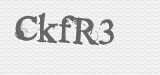 CAPTCHA code
