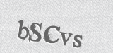 CAPTCHA code