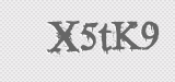 CAPTCHA code