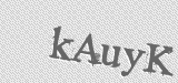 CAPTCHA code