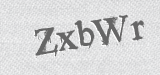 CAPTCHA code