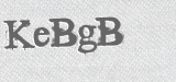 CAPTCHA code