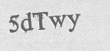 CAPTCHA code
