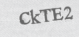CAPTCHA code