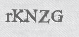 CAPTCHA code