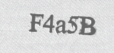 CAPTCHA code