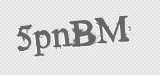 CAPTCHA code