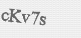 CAPTCHA code