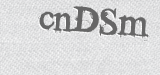 CAPTCHA code