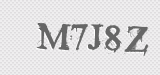 CAPTCHA code