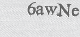 CAPTCHA code
