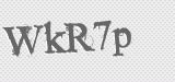 CAPTCHA code