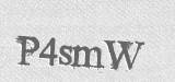 CAPTCHA code