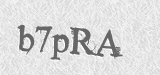 CAPTCHA code