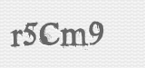 CAPTCHA code