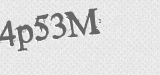 CAPTCHA code