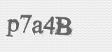 CAPTCHA code