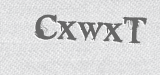 CAPTCHA code