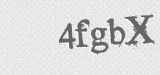 CAPTCHA code