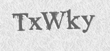 CAPTCHA code