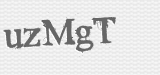 CAPTCHA code